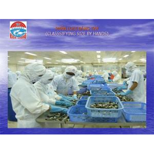 Công Ty CP Chế Biến Thủy Sản XNK Kiên Cường